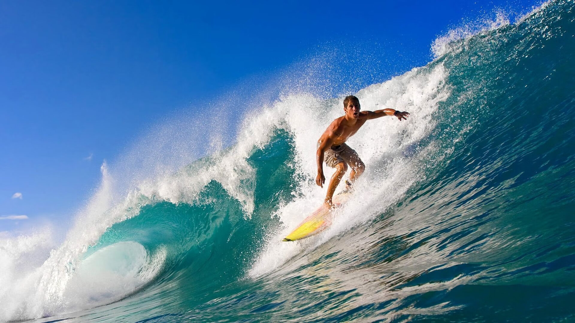 奇才掀翻黄蜂，小贾伦·杰克逊用沉默的咆哮，定义新时代的巨星法则